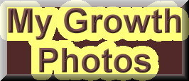 My growth photos